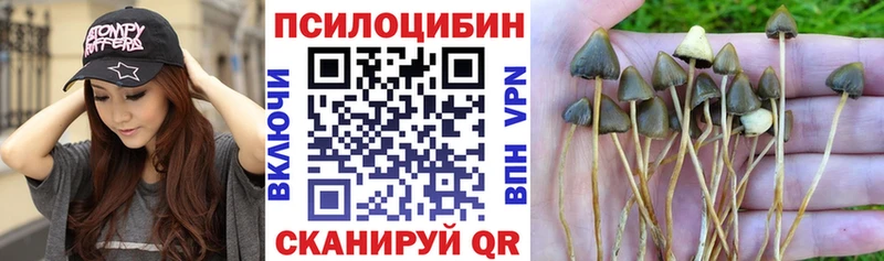 даркнет сайт  Волжский  Галлюциногенные грибы мицелий 
